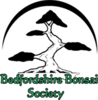 Bedfordshire Bonsai Society