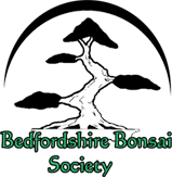 Beds Bonsai Society